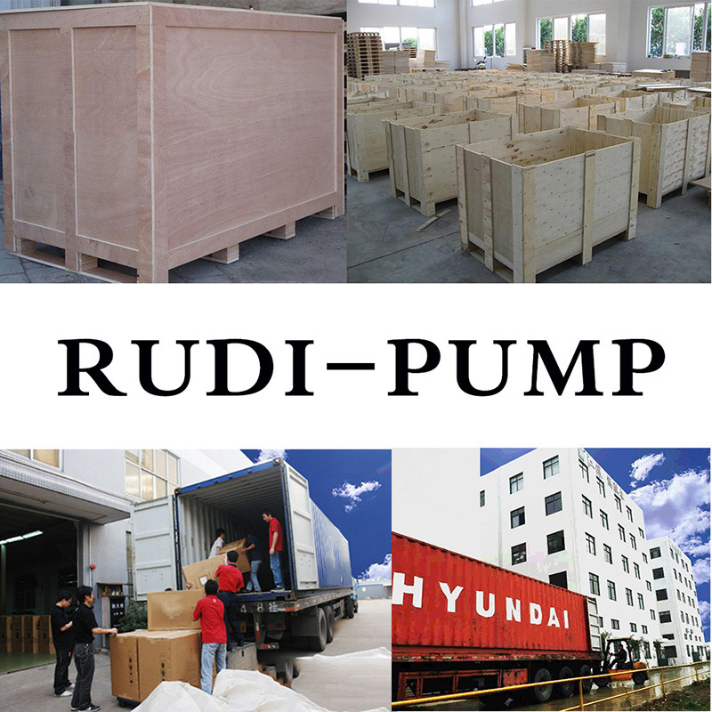 Rd 40 High Suction Lift Pneumatic Diaphragm Slurry Pump