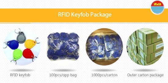 ABS Hard Plastic Waterproof Passive RFID Access Control Keyfob