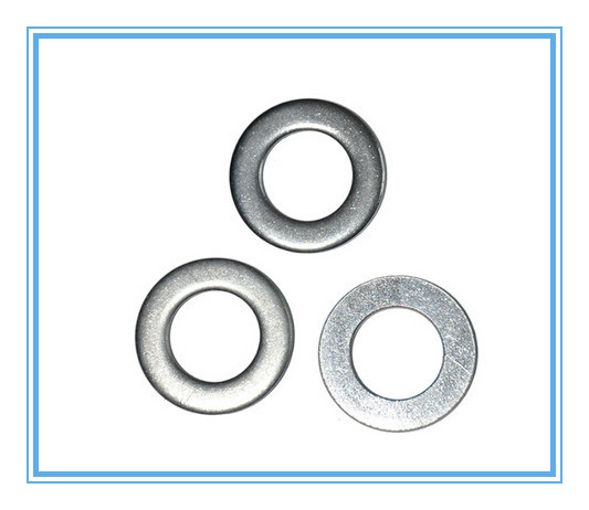 Disc Spring Washers with Flat Gasket