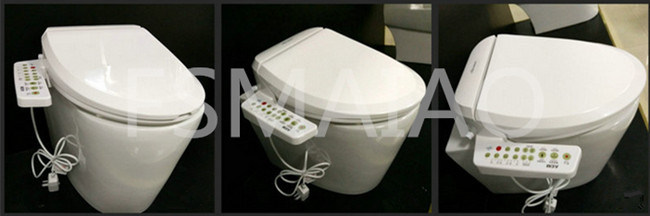 Automatic Intelligent Heated & Bidet Toilet Seat Sanitary Wares (V510)