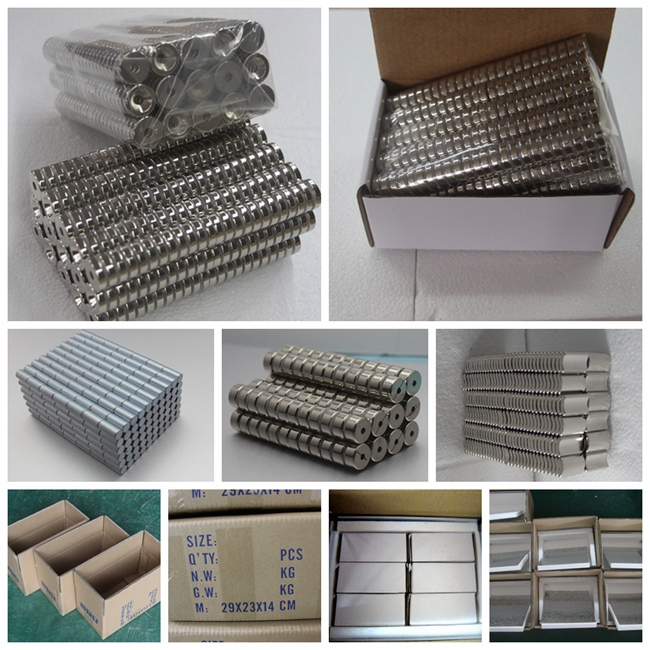 Customized Shape Permanent Neodymium Sintered Rare Earth Magnet Small Size