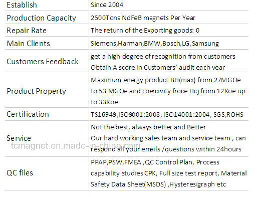 Neodymium Iron Boron Rare Earth Magnets with Ts 16949 and ISO 9001