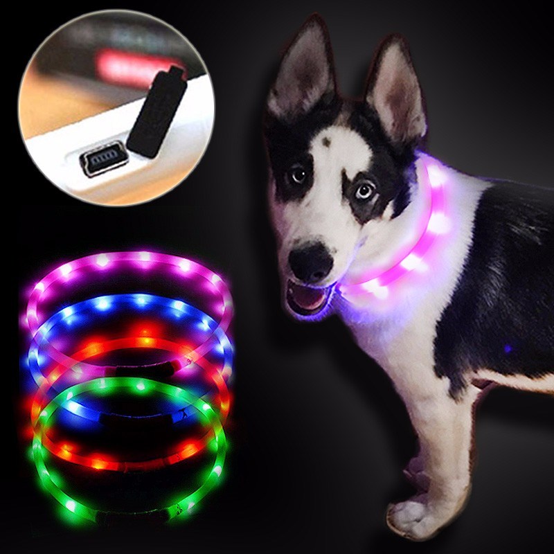 Rechargeable Flashing Night USB Luminous LED Dog Collar Pet Accessories Pet Products