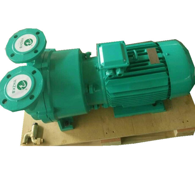 2BV5 111 Liquid/Water Ring Vacuum Pump