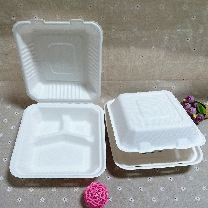One Time Use Biodegradable Tableware 3 Compartment Disposable Lunch Box