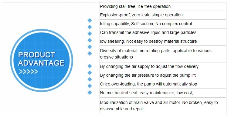 Plastic Material Air Operated Acid Resistant Double Diaphragm Pump Made in China