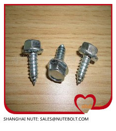 Stainless Steel 304 316 DIN6928 Hexagon Washer Head Tapping Screw Hex Flange