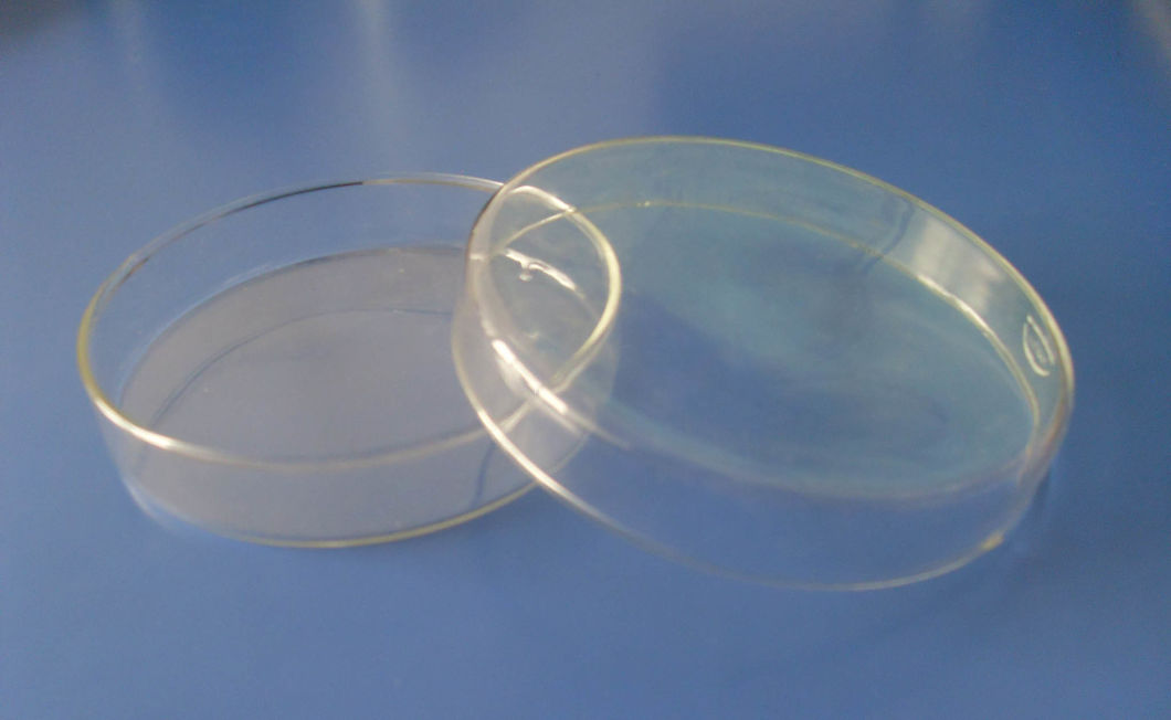 60mm, 75mm, 90mm, 120mm, 150mm Glass Petri Dish for Lab Testing