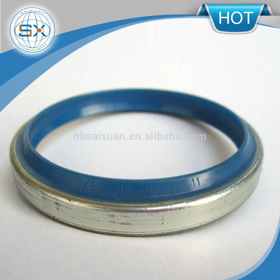 Standard and Non-Standard Dkb/Dkbi Dust Hydraulic Cylinder Seal