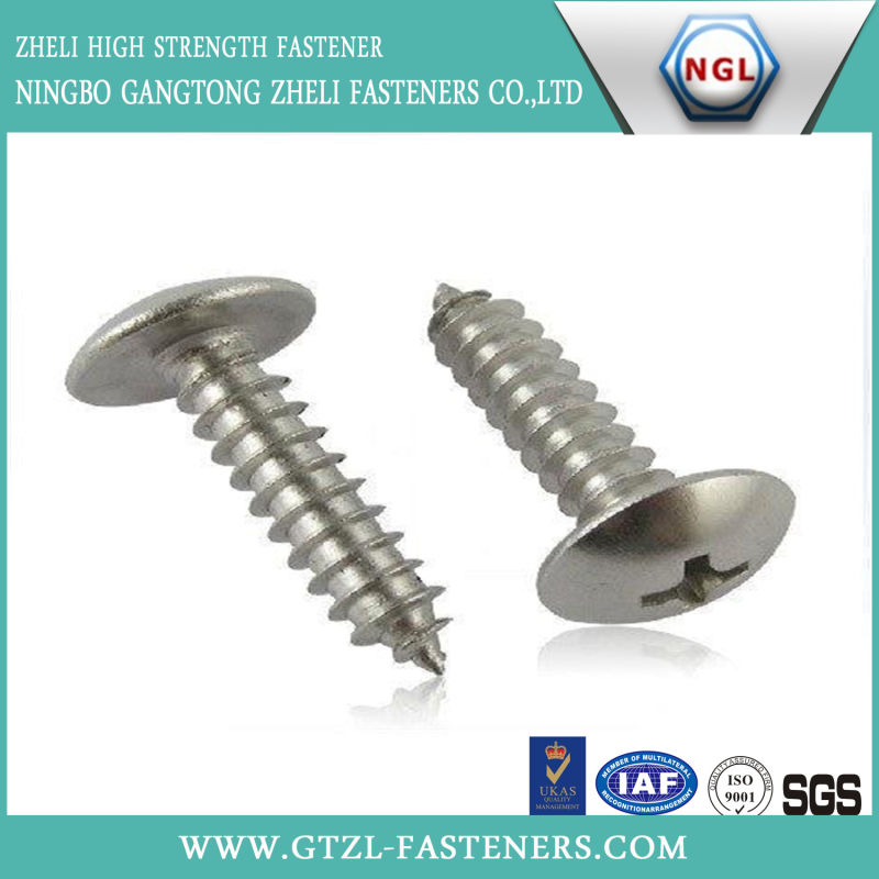 Phillip Truss Head Drive Self Tapping Screw