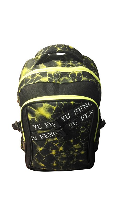 Fashion Printing Laptop Backpack Bag School Backpack Bag, Travelling Bag