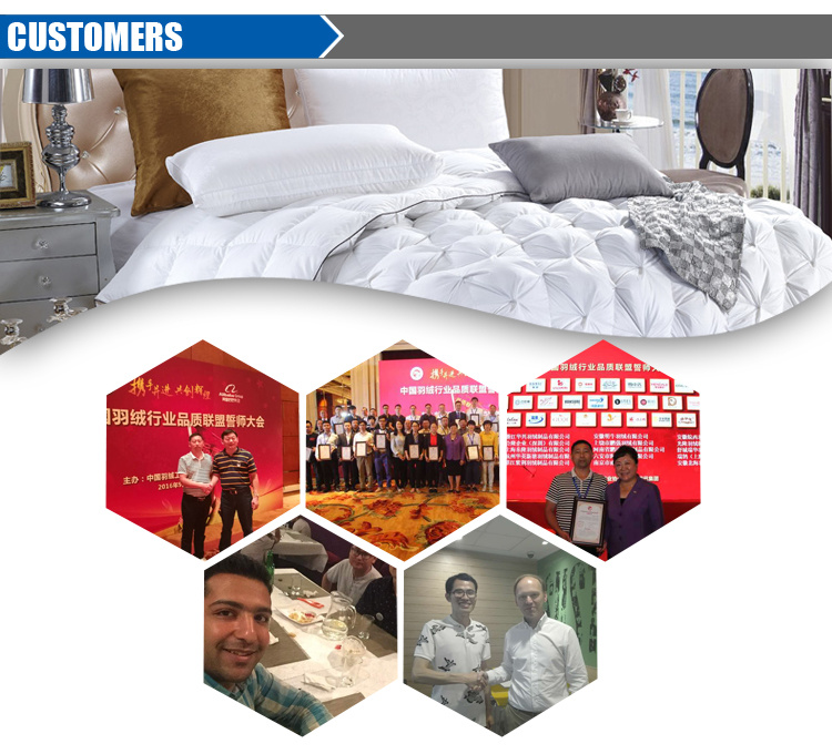 China Supplier Hotel 100% Cotton White Down Comforter/Microfiber Quilt/Polyester Duvet