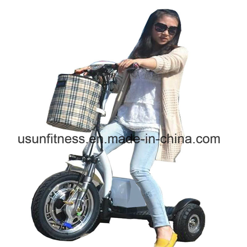 2018 Hot Sale Mobility Scooter Vehicle for Elderly Handicapped People