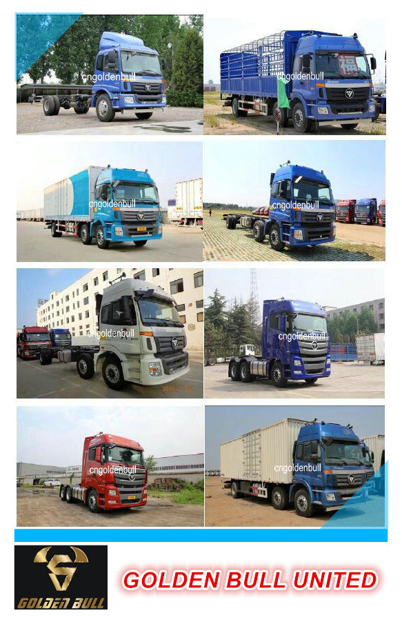 Truck Parts for Auman