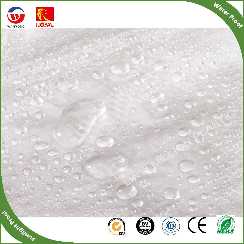 Heavy Duty PE Tarpaulin Sheet From Equipment Cover