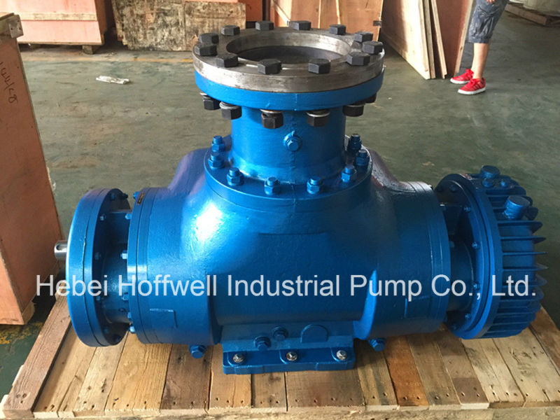 W. V Multi-phase Heavy Oil Double Screw Pump