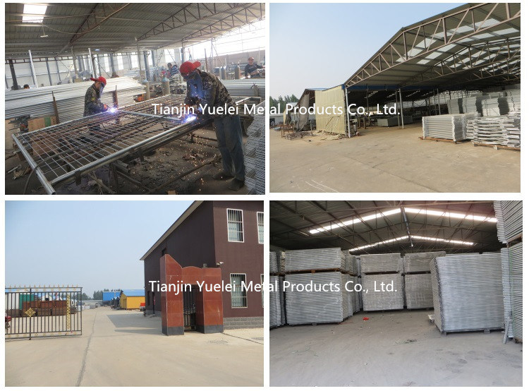 China Factory Supplied Fence Panels/Oval Pipe Galvanized Cattle Panel/6 Bars Steel Cattle Corral Panels/Hot Dipped Galvanized Cattle Livetsock Panels