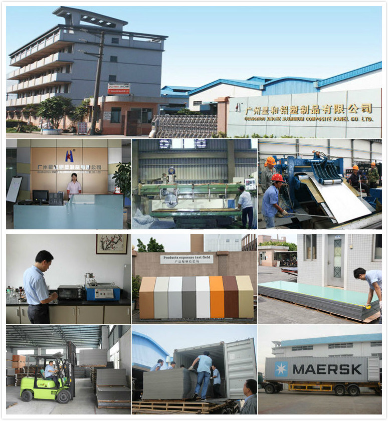 ACP Board for Wall Cladding/Decoration/Advertising /Display