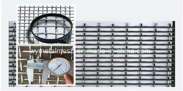 Factory Stainless Steel Crimped Wire Mesh Panel for Exporting
