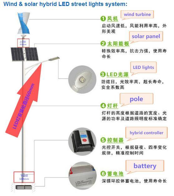 Wind Generator and Solar Hybrid Street Lamp (SHJ-LDS100)