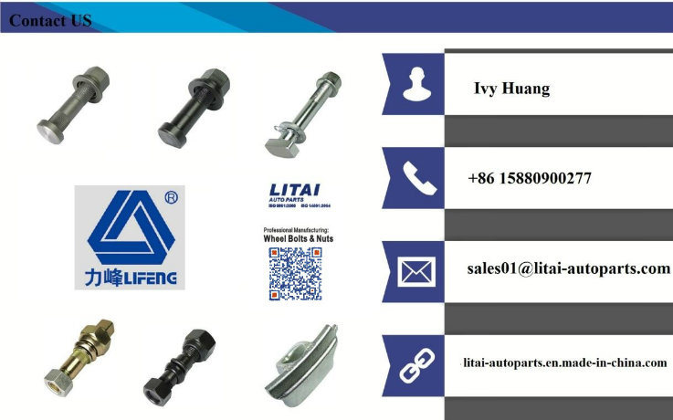 Quality Guarantee U Bolt with Wahser and Nut