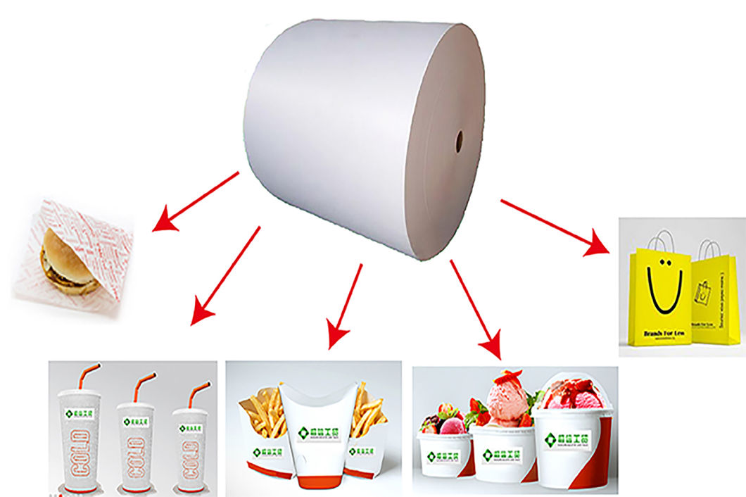 170g Double Sides PE Coated Paper