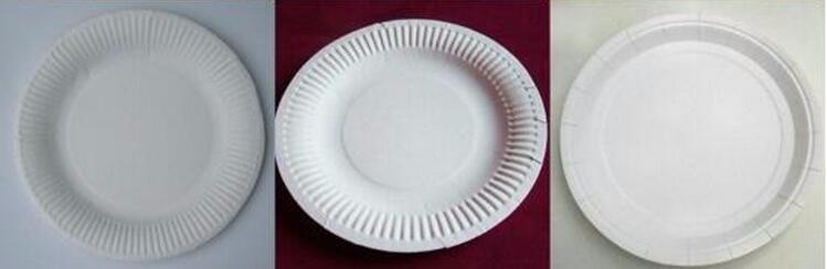 Biodegradable Sugarcane Bagasse Paper Tableware with High Quality