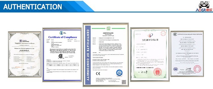 Single Phase Asynchronous Energy Power Saving AC Motor