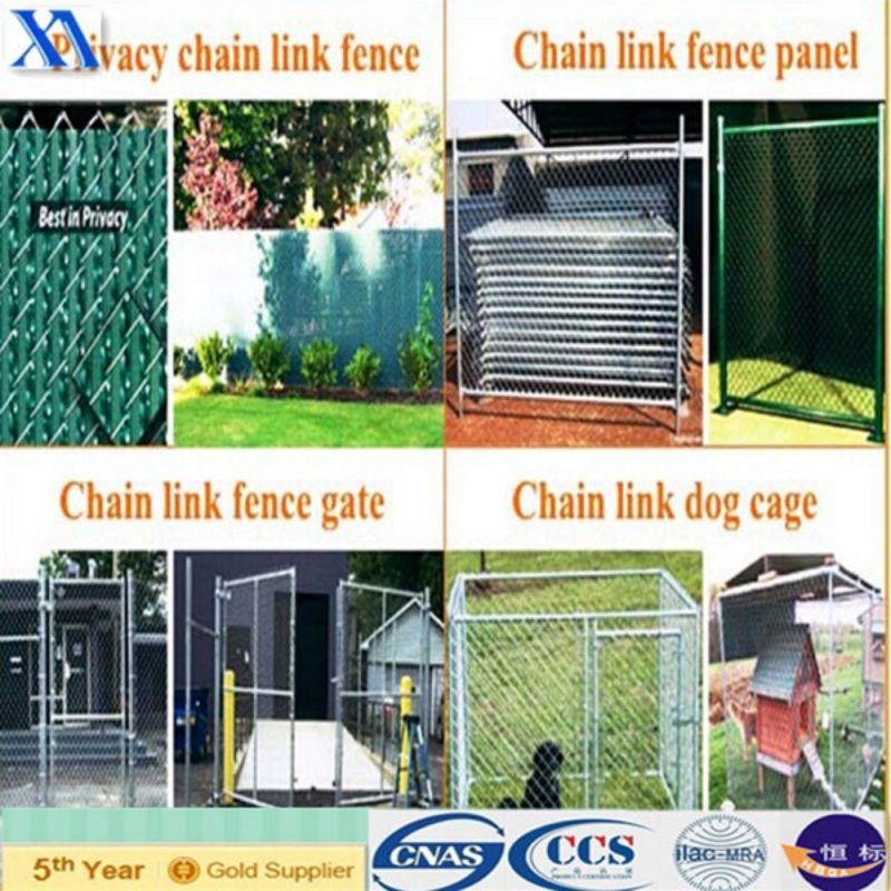 High Quality PVC Coated Chain Link Fence