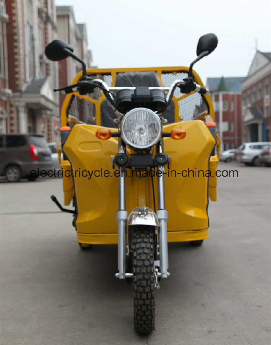 China Three Wheel 48V800W Pedal Electric Farm Cargo Bike Tricycle