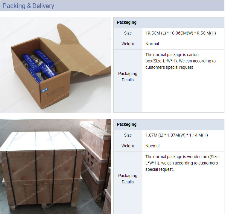 2PC Double Stem Spring Check Valve