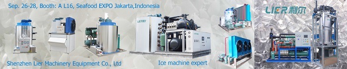 Seawater Flake Ice Machine on Board Ice Making Equipment SS316 Flake Ice Maker