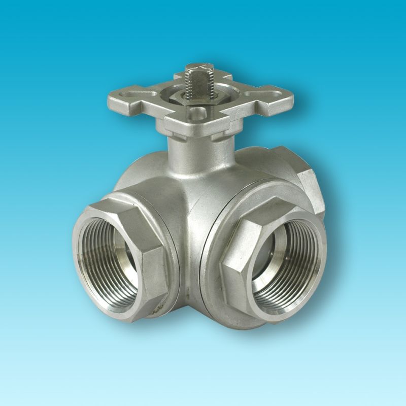 Stainless Steel 316 800wog Y-Spring Check Valves