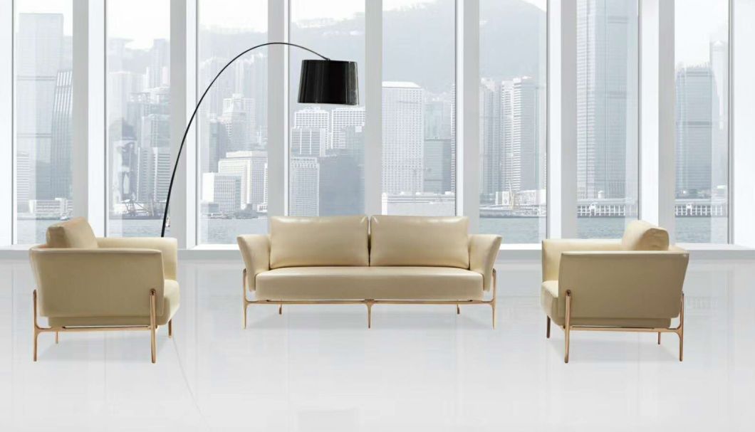 New Arrival New Design Luxury Leather Sofa, Wating Sofa for Office, Home and Hotel