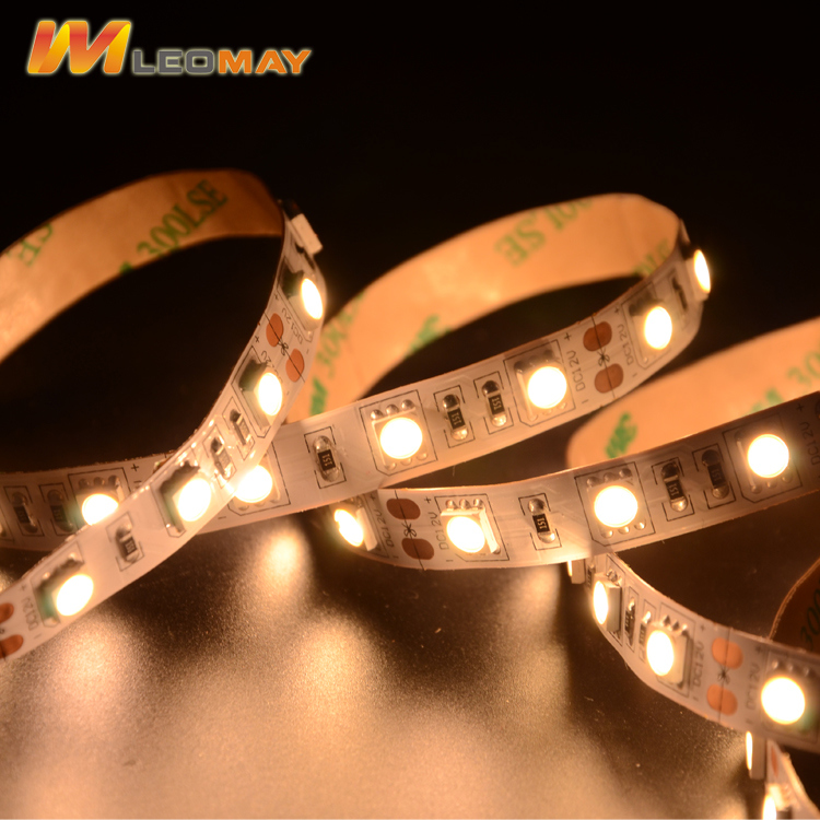 Customized Low Voltage LED Strip Light with Ce Certified