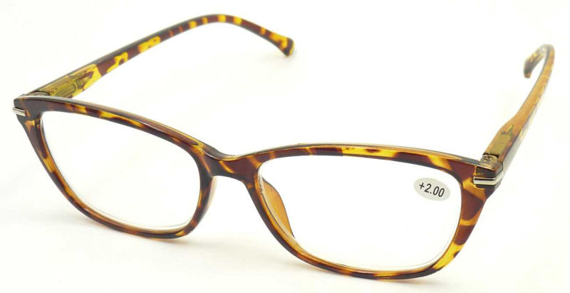R171003 Hotsale Wenzhou Factory Cheap Plastic Reading Glasses