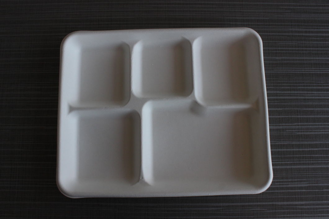 Disposable Biodegradable Bagasse Sugarcane Plate Wheat Straw Pulp Tray