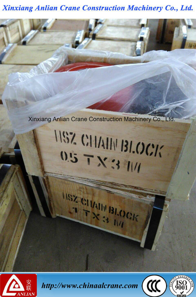 The Hand Chain Blocks with The Trolley