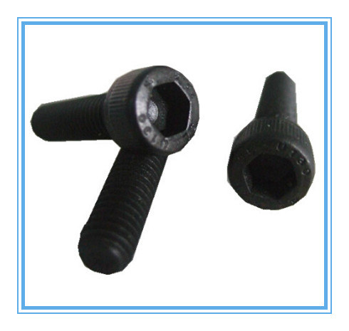 Hex Socket Cap Screw/Bolt