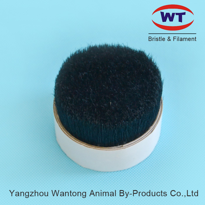 Chungking 60~90%Tops Natural Black Boiled Pure Bristle