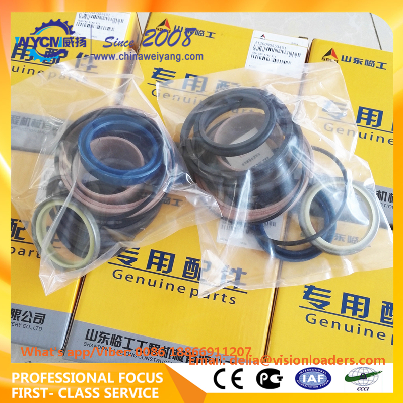 4120000553401 Cylinder Sealing Ring Kit for Sdlg Repair Kits 4120000867007