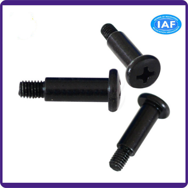 DIN/ANSI/BS/JIS Carbon-Steel/Stainless-Steel Round Head Step Non-Standard Phillips Step Screw