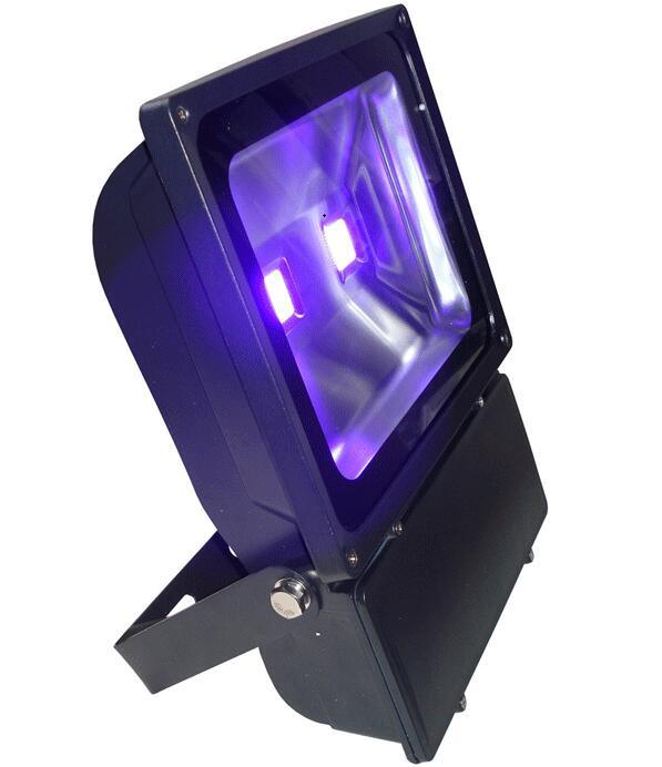 Ultra Violet 100W UV LED Floodlight 365nm 405nm UV Lamp for Paintball Field