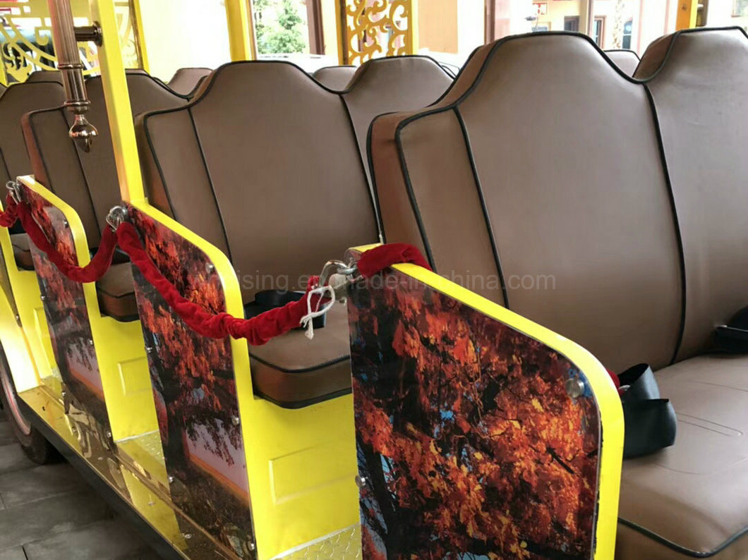 China Sightseeing Bus, Electric Tour Bus for Sale