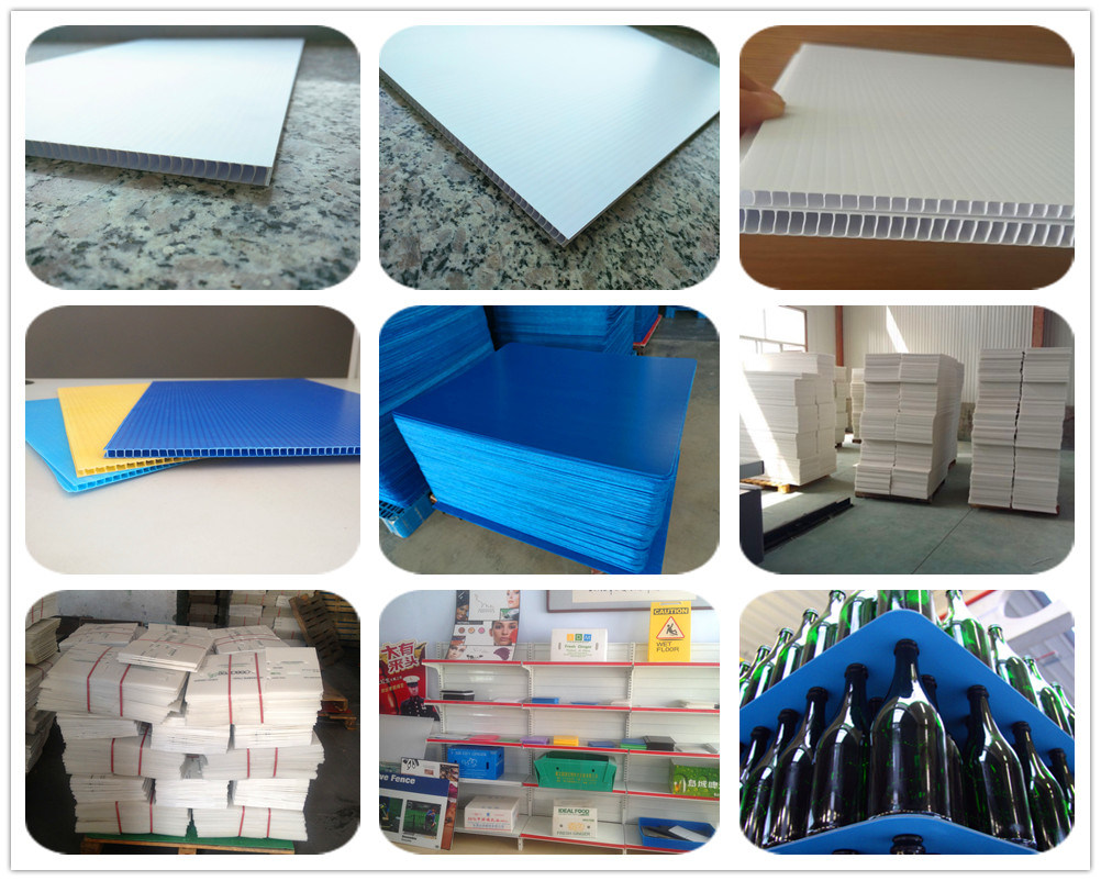PP Sheet Hollow Type 3mm - 12mm PP Corrugated Sheet White Color for Printing