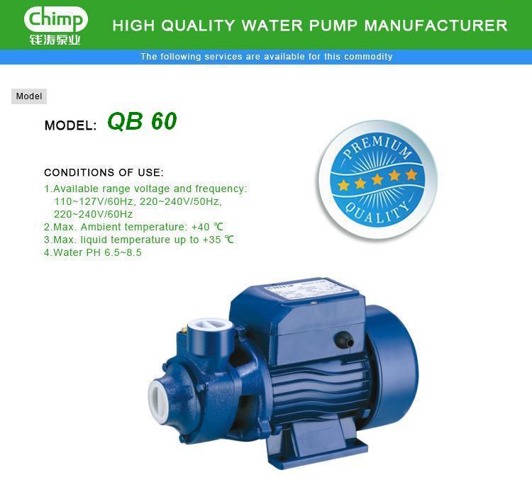 Chimp Qb80 Vortex Water Pump for Clean Water
