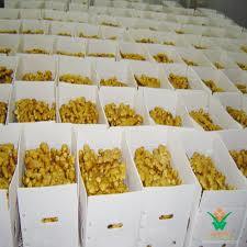 Chinese Fresh Ginger Supplier Provide Bulk Fresh Ginger with Competitive Price