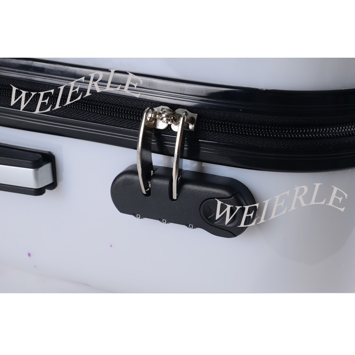 Hot Sale New Material Lightweight PC Trolley Case