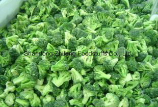 IQF Frozen Broccoli with Good Price