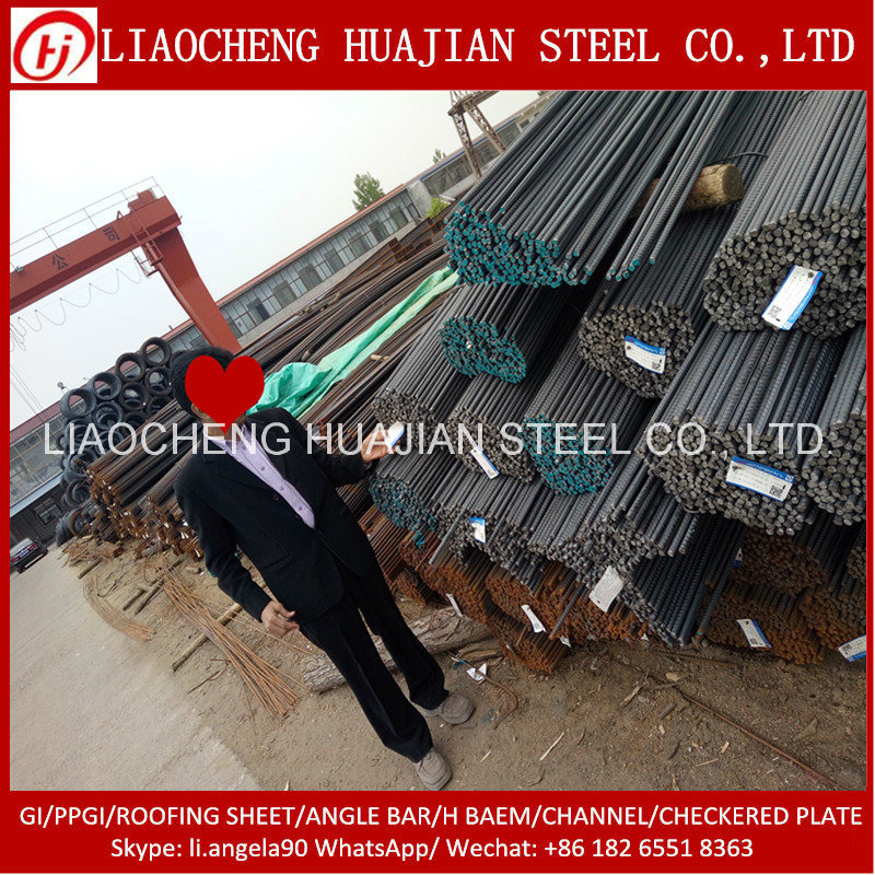 Hot Rolled Deformed Steel Bar with High Quality